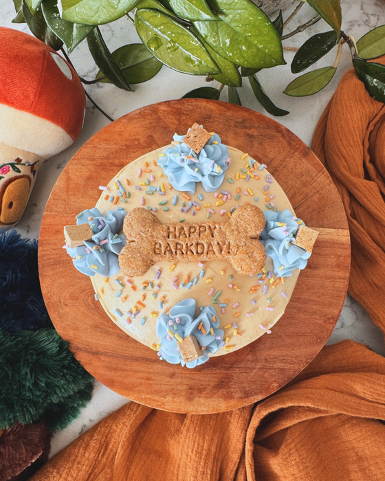Sprinkle Party Birthday Cake