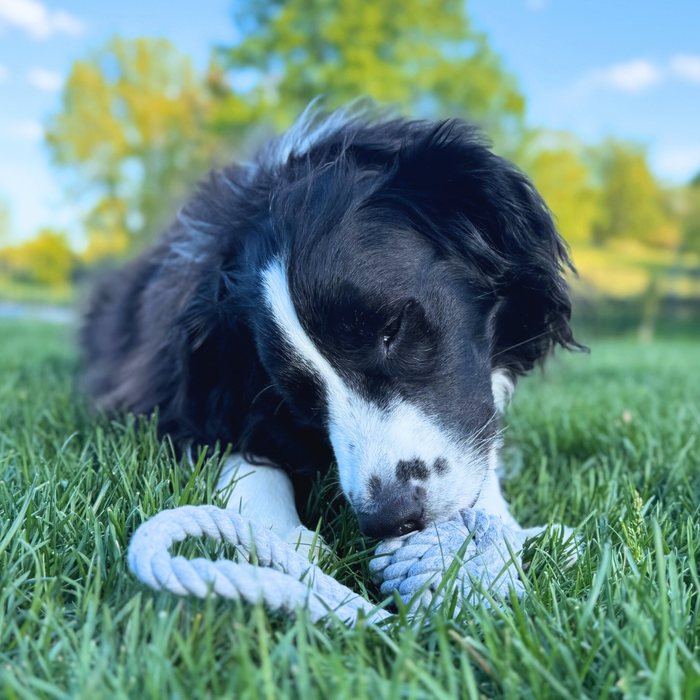Organic Rope Tug Toy