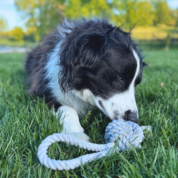 Organic Rope Tug Toy