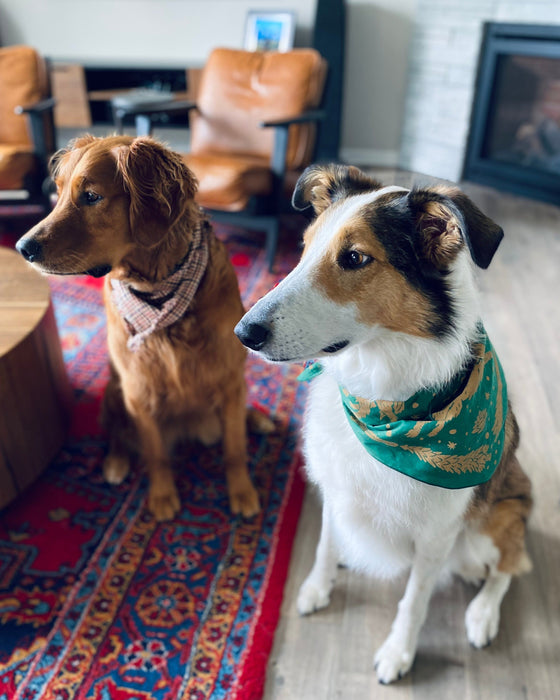 Wild Summit Bandana