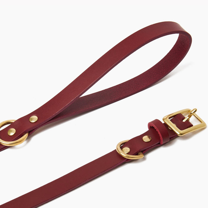 Ox Red Collar & Leash Set